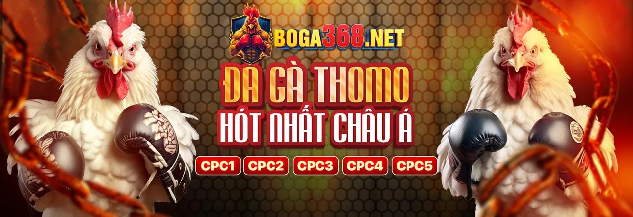 Đá Gà Trực Tuyến CM88 - Sân Đấu Kịch Tính