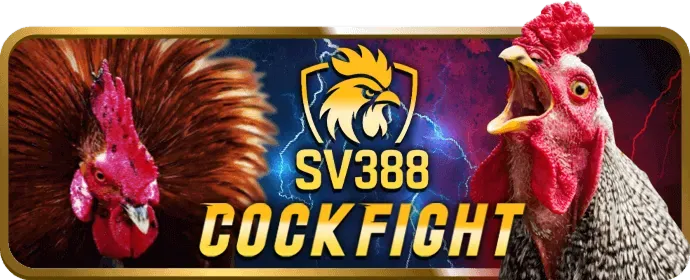 Chương Trình VIP Đá Gà CM88
