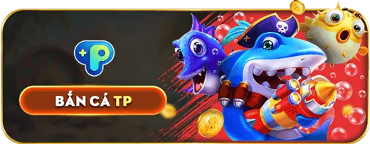 Dịch vụ hỗ trợ khách hàng CM88